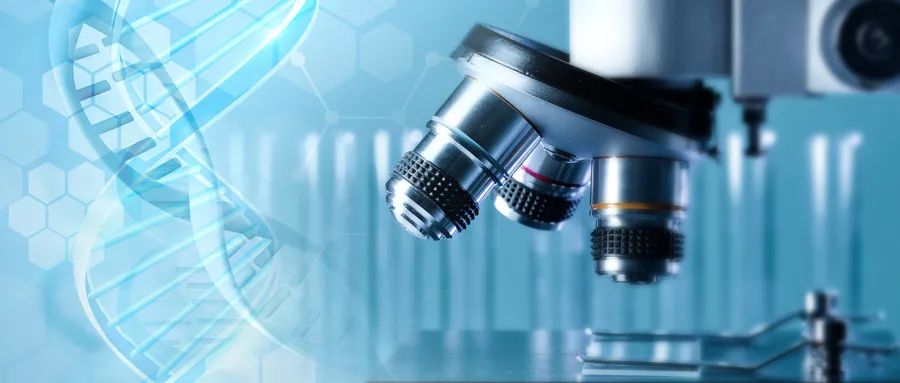 1655284495191000881.jpg 1655284495191000881.jpg