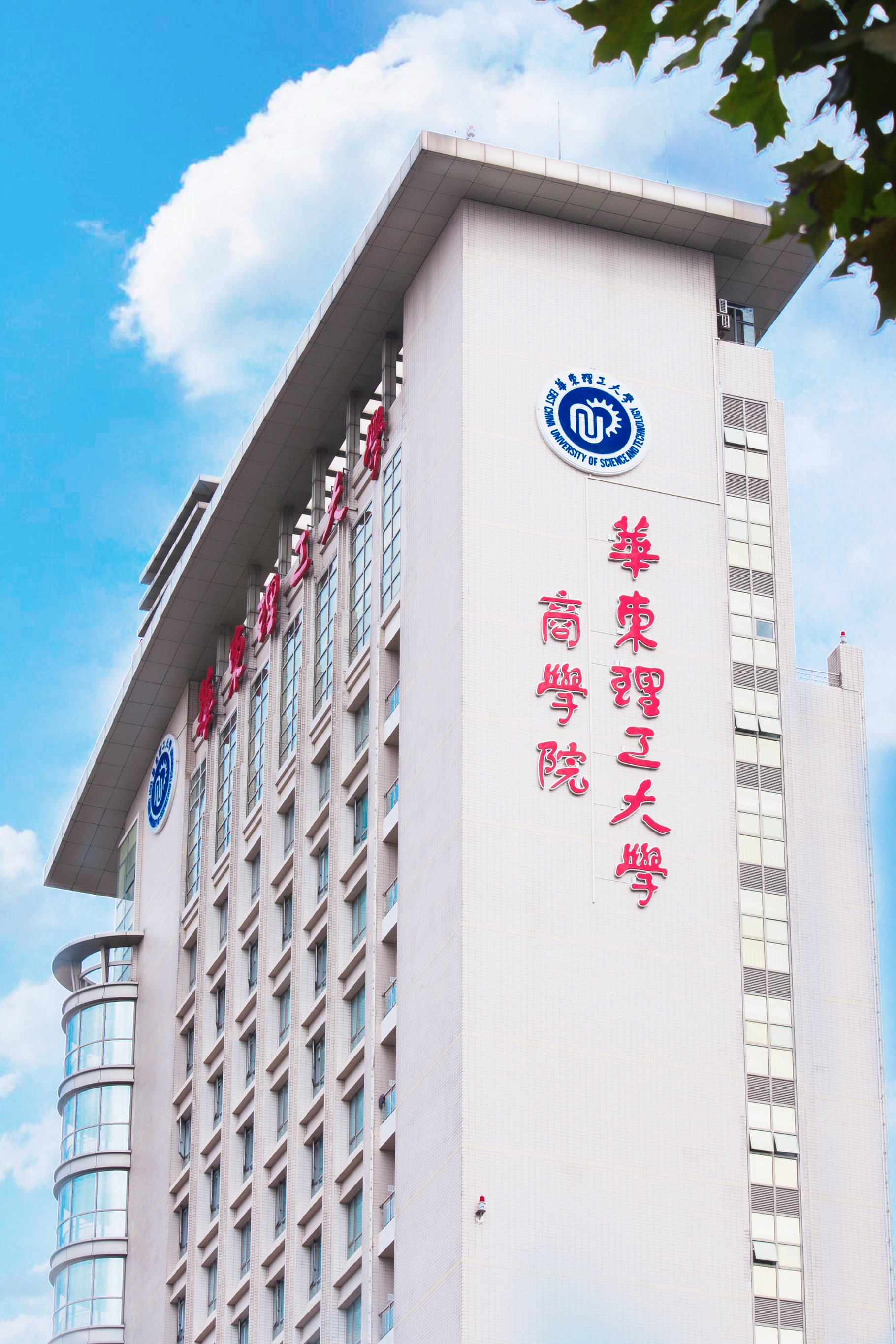 1664267601507009755.jpg 1664267601507009755.jpg