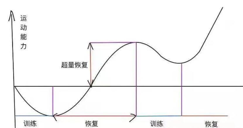 1679274321743035244.png 1679274321743035244.png