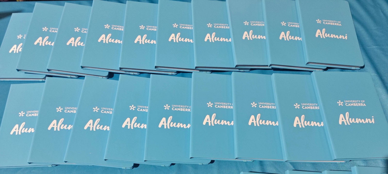 1695262392897085756.jpg 1695262392897085756.jpg